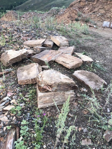 Плитняк кора дерева 50-100мм для пошаговых дорожек купить в Камчатском крае